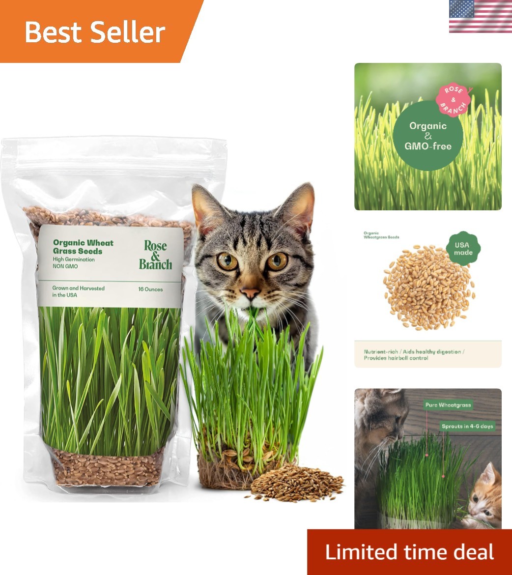100% Organic Wheat Grass Seeds for Indoor Cats – Fast Growing & Nutritious 16 oz
