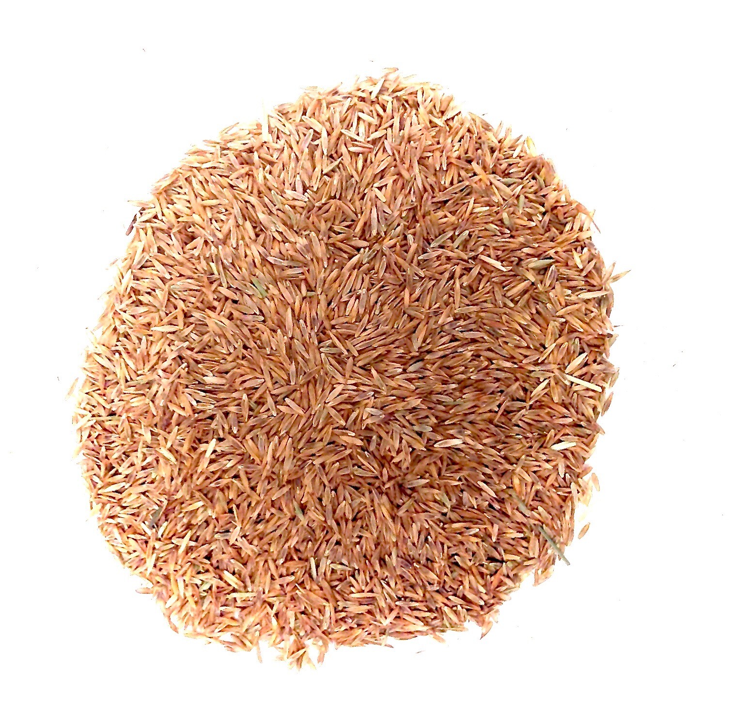 Grass Seed Professional Grade Fescue Lawn & Turf 5 lbs. Covers 1000 sq. ft.