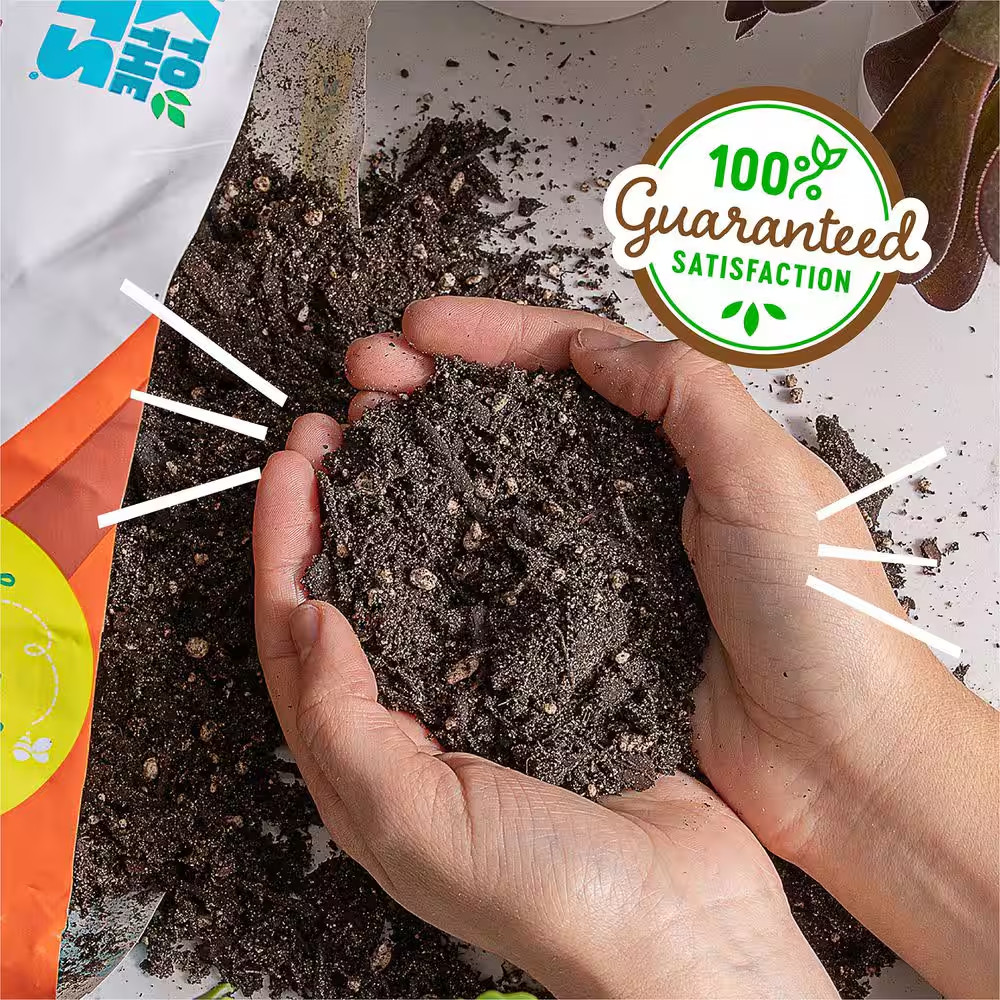 6 Qt. Organic Succulent & Cacti Mix Soil (2-Pack)
