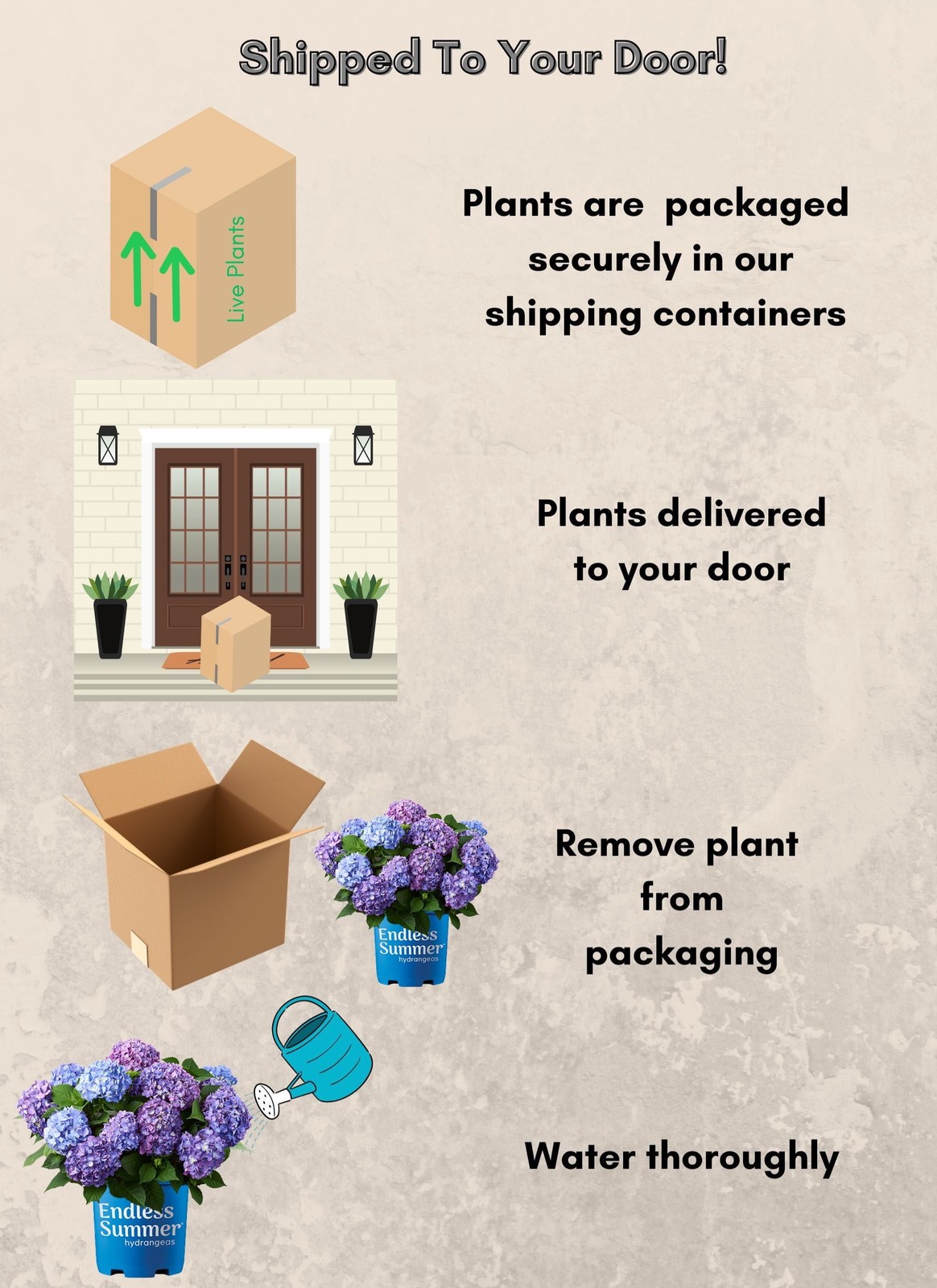 Endless Summer Bloomstruck Reblooming Hydrangea Live Shrub in 1-Gallon Grower Po