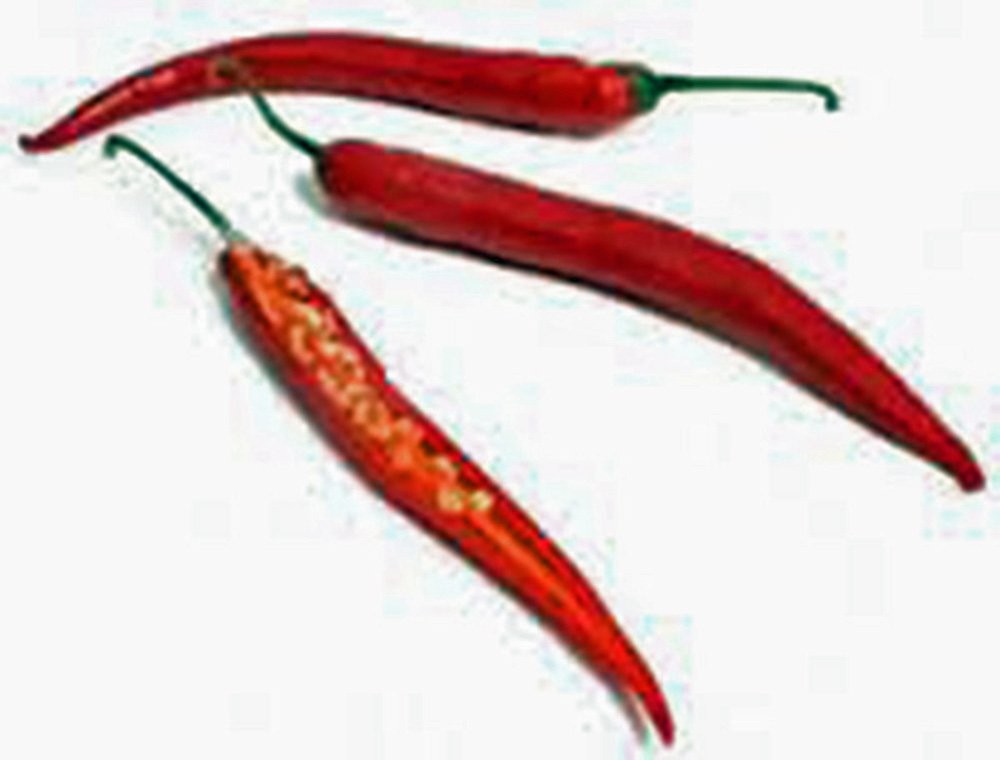 Cayenne Pepper, Long RED Thin, Heirloom, 500 Seeds,Great Fresh OR Dried