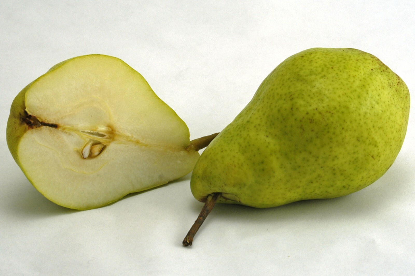 15 thin Giant Fruit Bartlett pear tree cuttings rooting grafting Great producer
