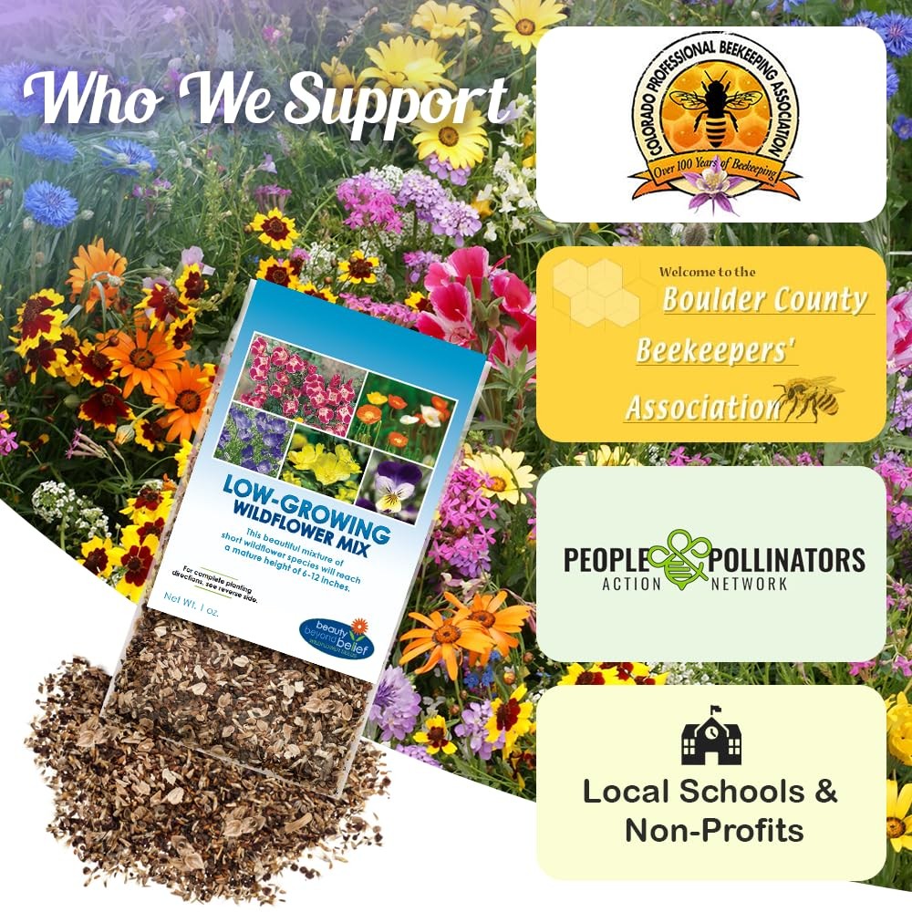 Low Growing Wildflower Seeds Mix 1oz, 612 Inches Short Flowers – NonGMO Natu…