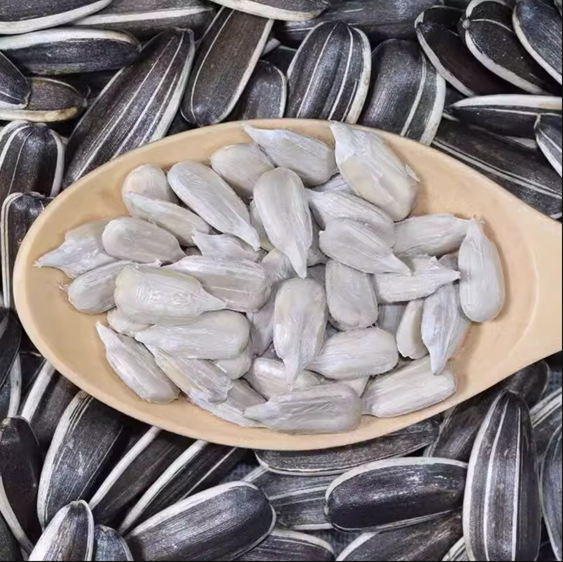 Premium Roasted Salted Sunflower Seeds Snack (3 Pack x 200g/7.05oz)