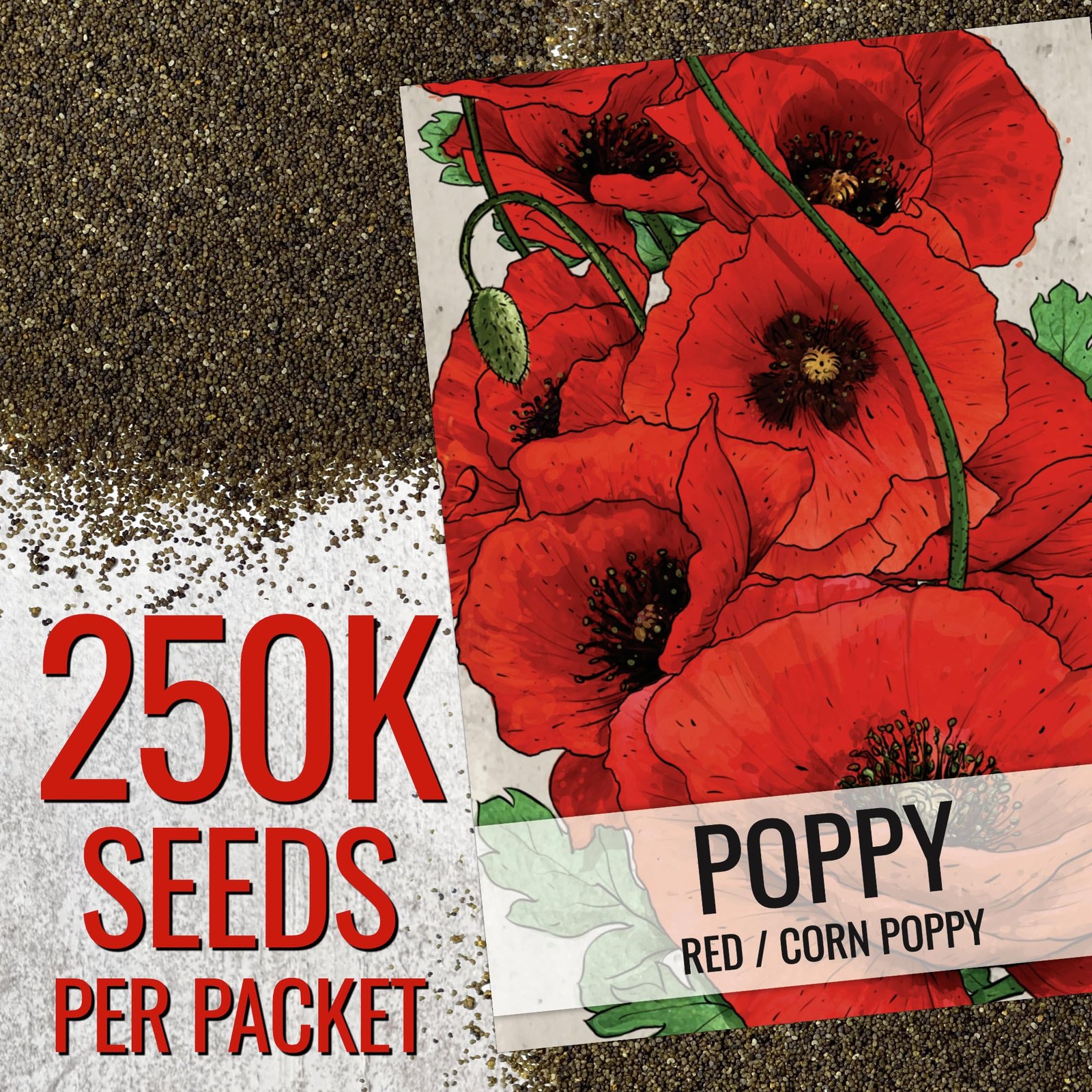 Seed Needs Poppy Seeds for Planting Red Corn 1.5 Ounce Heirloom Bulk Pack