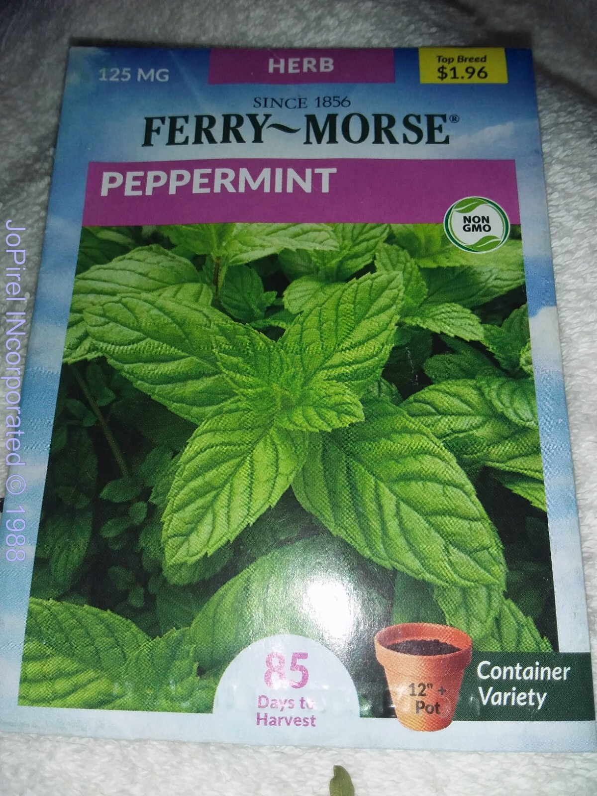 Peppermint 125 MG Herb Seed Non-GMO – Ferry Morse 85 days to harvest 12/22