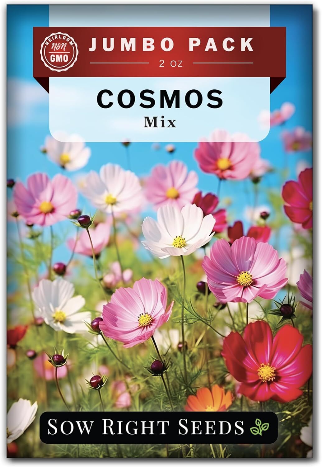 Bulk Mixed Cosmos Seeds for Planting – 2 Ounce 8500 Seeds Non-GMO Heirloom Jumbo