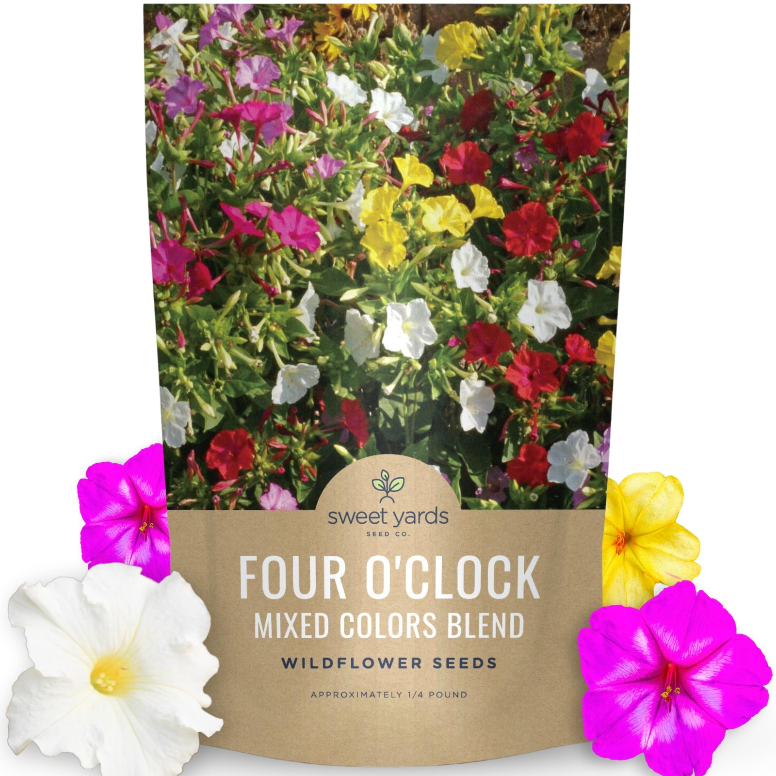 1250 Four O’Clock Mixed Colors Blend 1/4 Pound Pouch Flower Seeds Planting