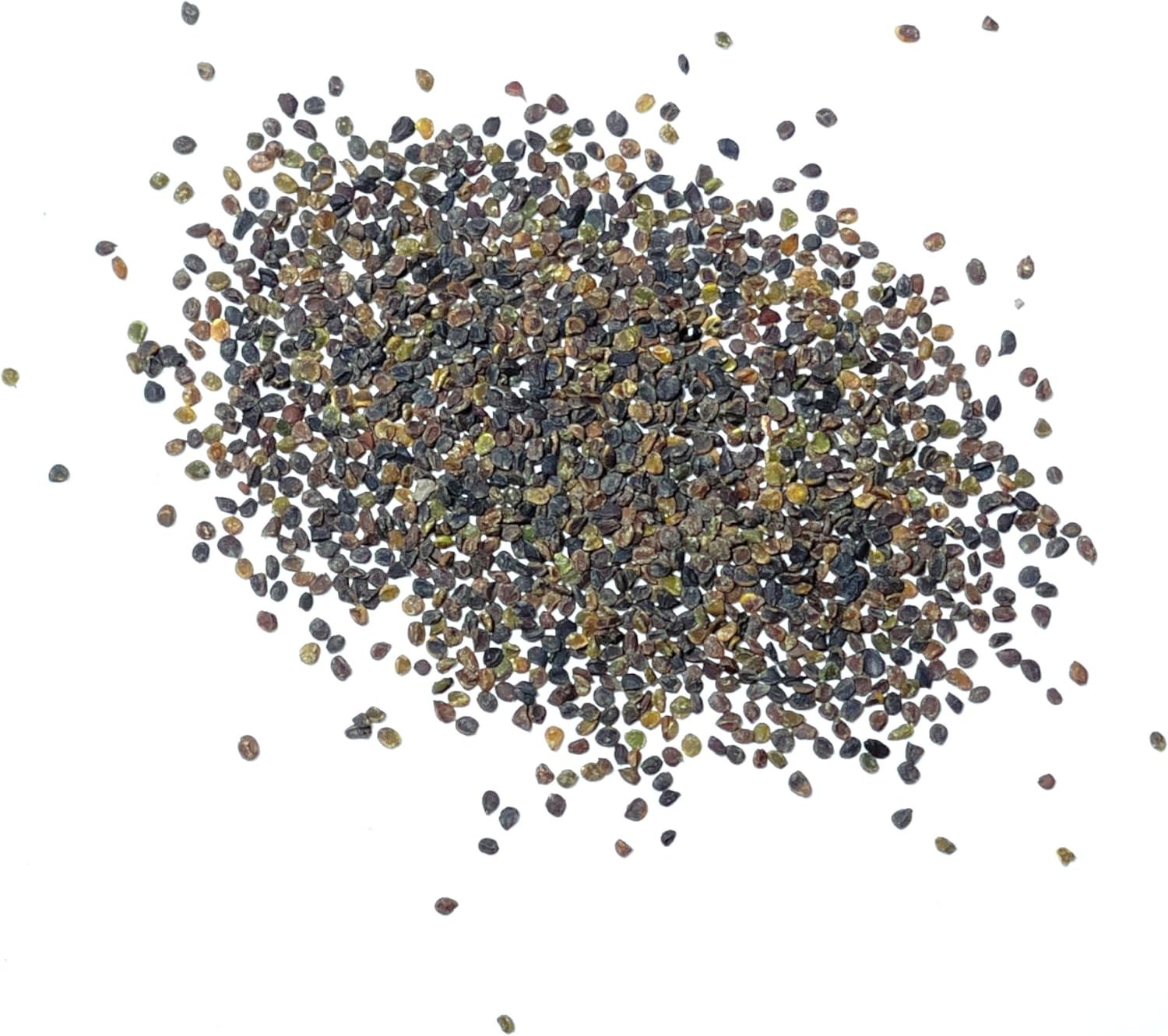 Purple Rockcress Seeds – Heirloom Perennial Flowers for Gorgeous Rock Gardens