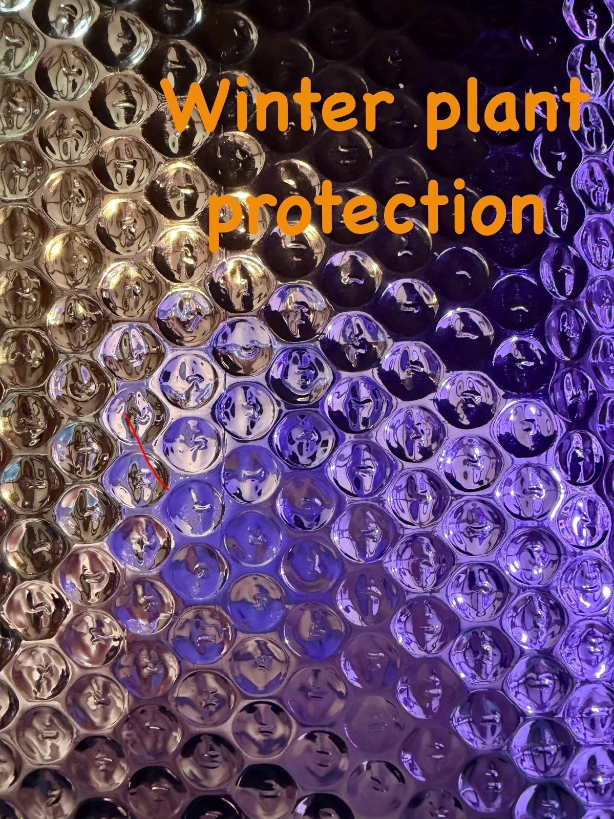Winter Plant Protection Insurance Package – ADD-ON ONLY
