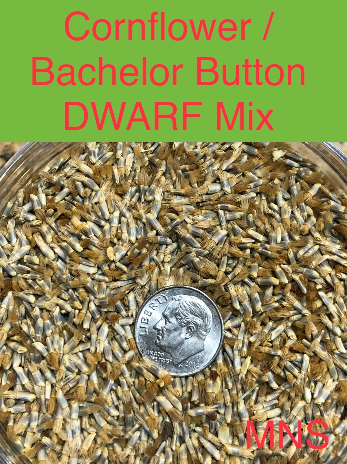 Cornflower Bachelor Button DWARF MIX Cutflowers HEIRLOOM Non-GMO 400 Seeds