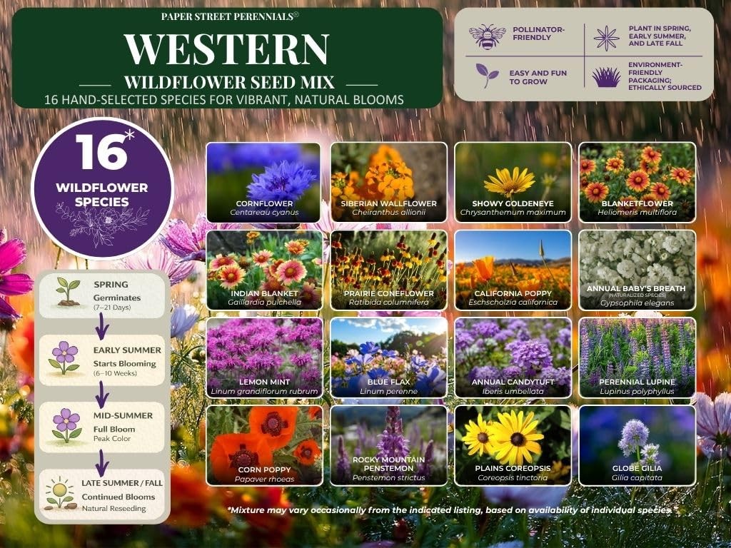 Western Wildflower Seed Mix – 16 Annual & Perennial Species, 1/4lb Covers Up …