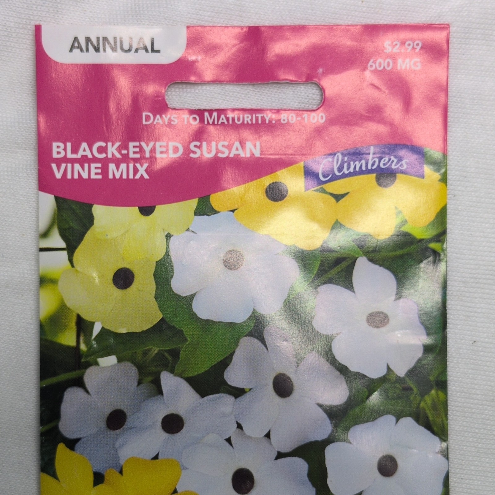 Livingston Black-Eyed Susan Vine Mix Annual Yellow White Climbing Full Sun Y2520