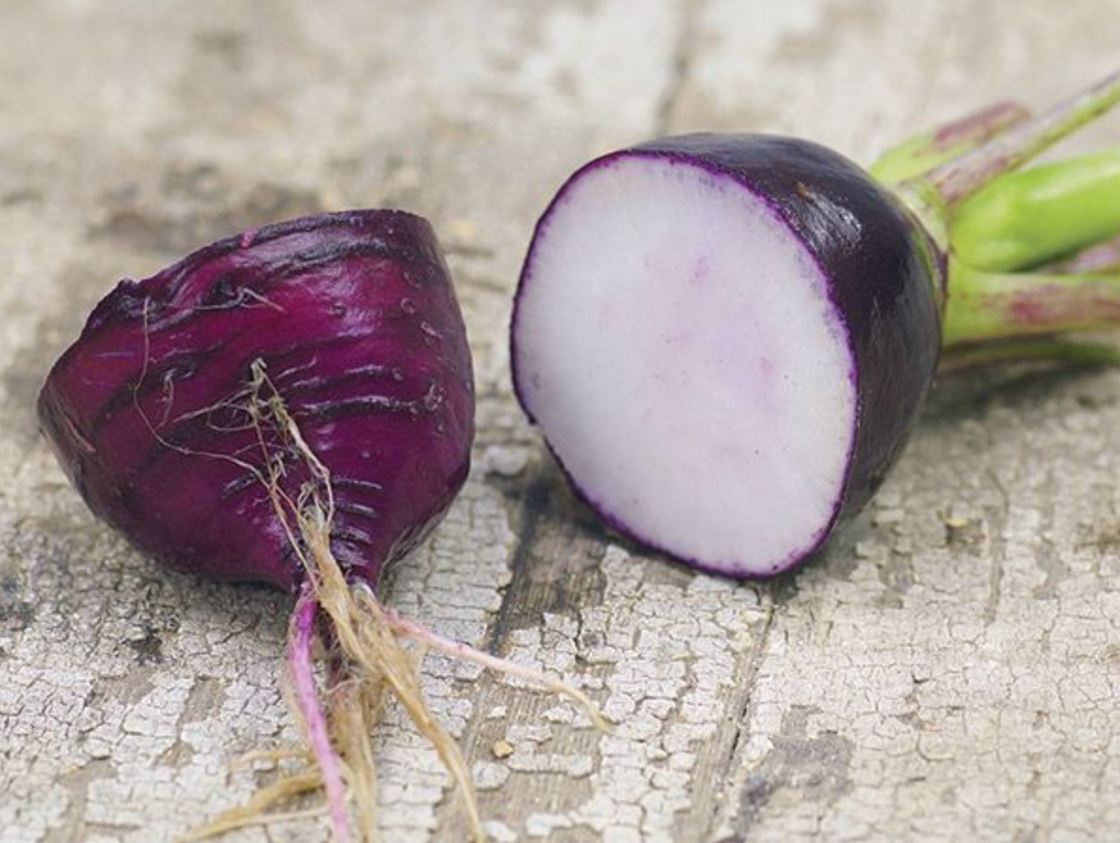 100+ Purple Plum Radish Seeds ——————– Heirloom – NON GMO – Organic