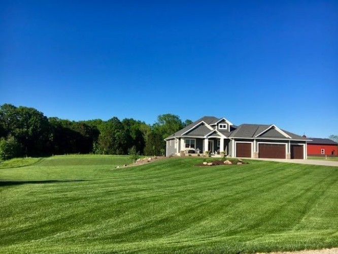 Traffic Tolerant Grass Seed Mix for Quick Establishment and Versatile Use