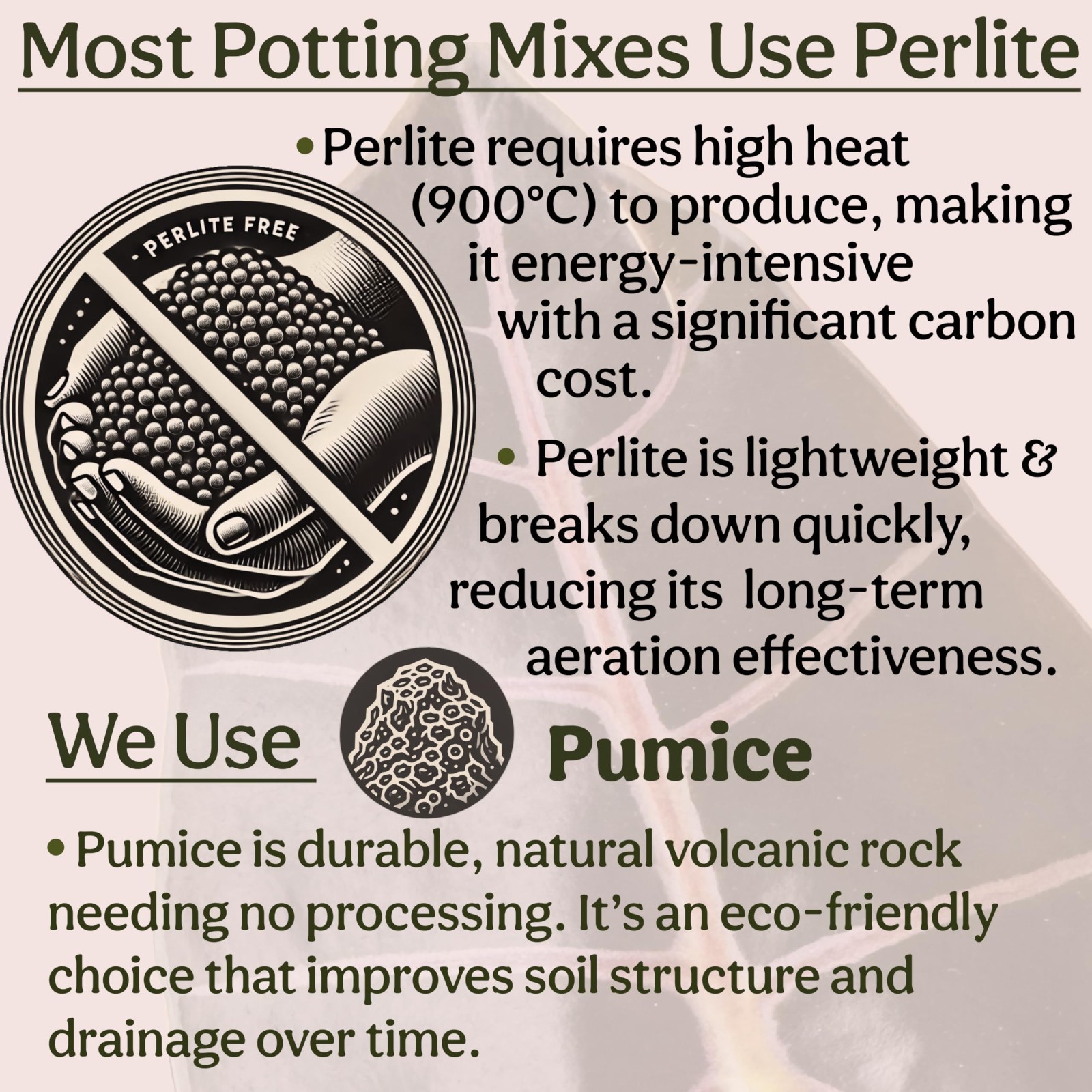 Organic Potting Mix for Indoor Plants – Well Draining, Chunky Soil, Peat Free, 8