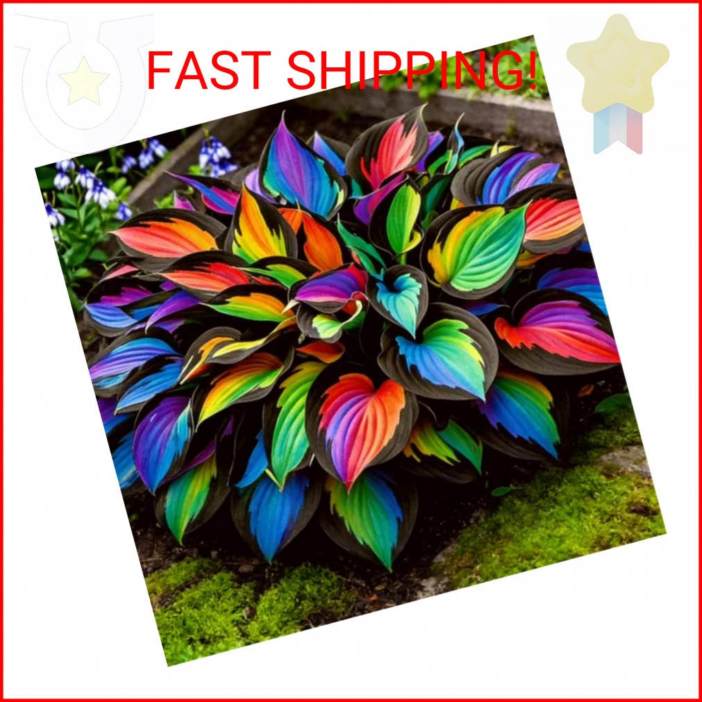 280+ Hosta Seeds for Planting Perennial Heart-Shaped Hosta Bare Roots – Rich Fol