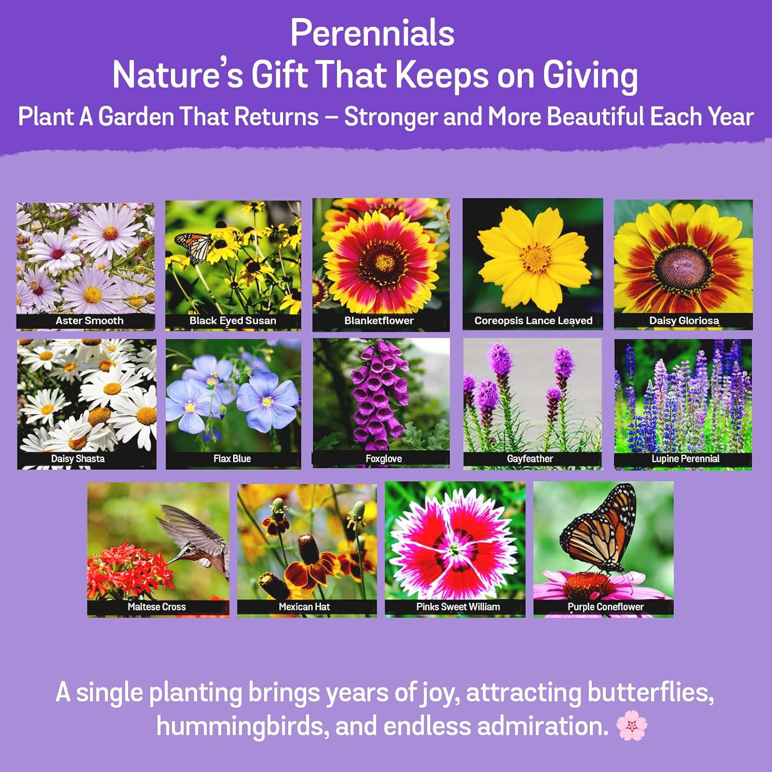 Wildflower Mix – 2 Oz, 85,000 , 35 Variety Perennial & Annual Flower to Plant
