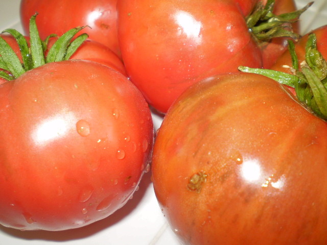 Barlow Jap tomato seeds non-gmo heirloom open pollinated SUPER DELICIOUS 25