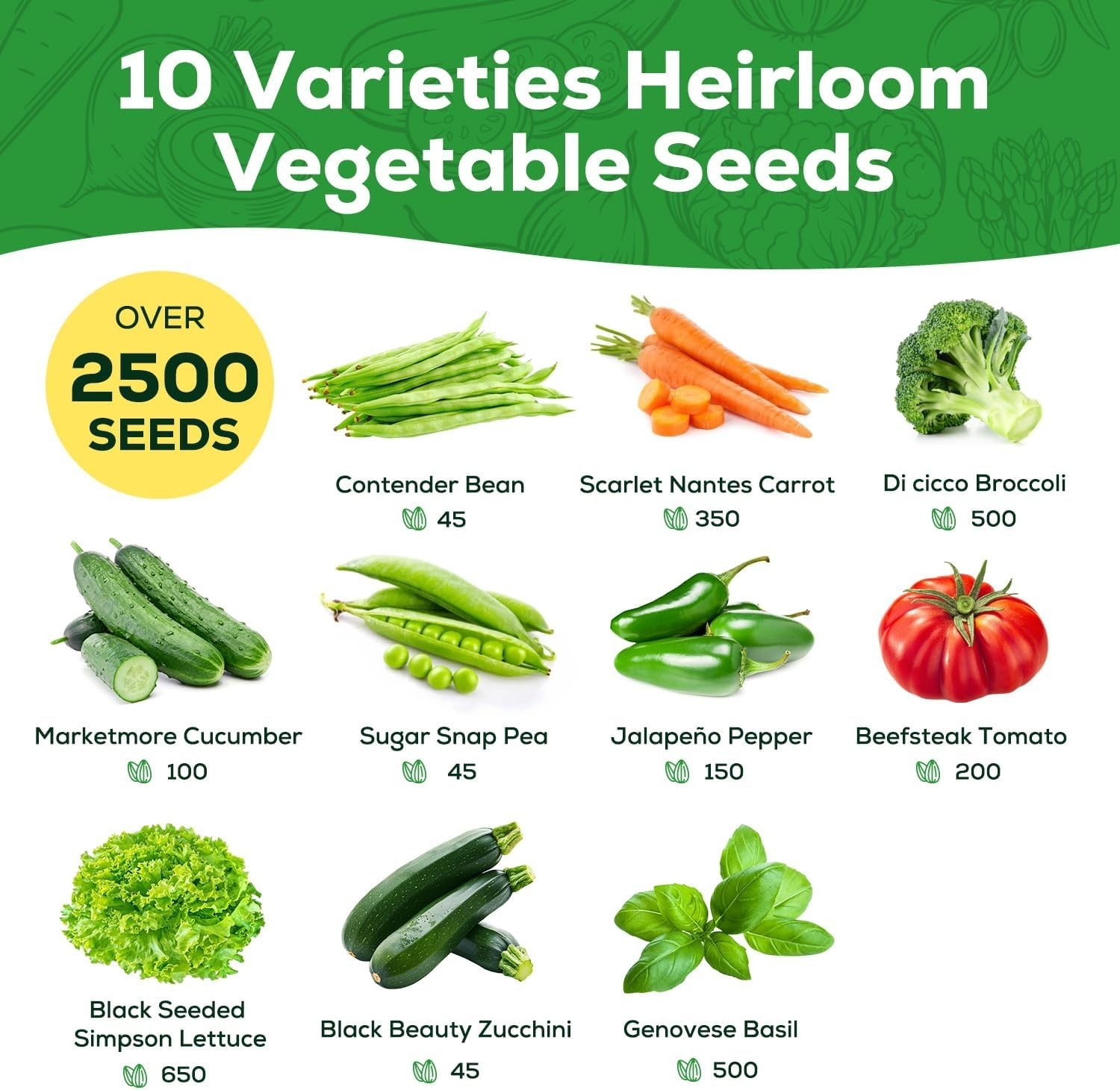 【Seed Vault】 Heirloom Vegetable Seeds Planting Kit – 25,000+ Non-Gmo Seeds for