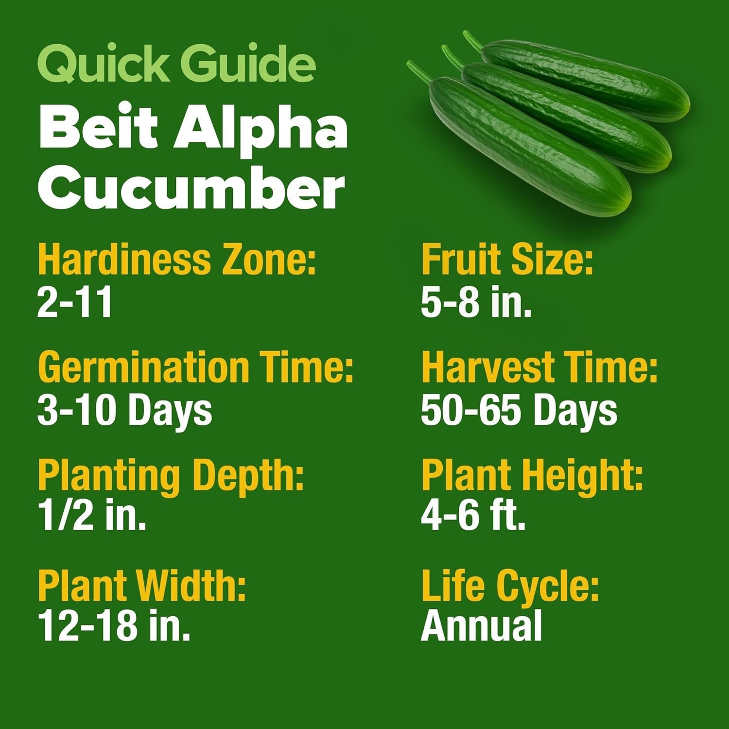 Beit Alpha Cucumber Seeds – Fast Growing, Sweet Flavor, Perfect for Any Garden