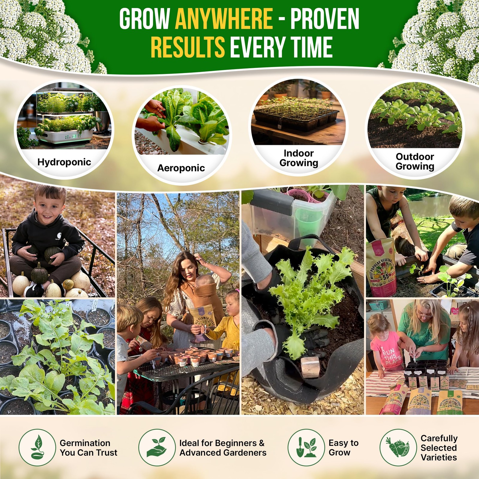 White Yarrow Seeds Pack 0.25 G – Over 2000 Non-GMO 0.25G,