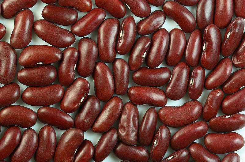 50 Charlevois DARK RED KIDNEY BEAN Chili Baked Phaseolus Vulgaris Vegetable Seed