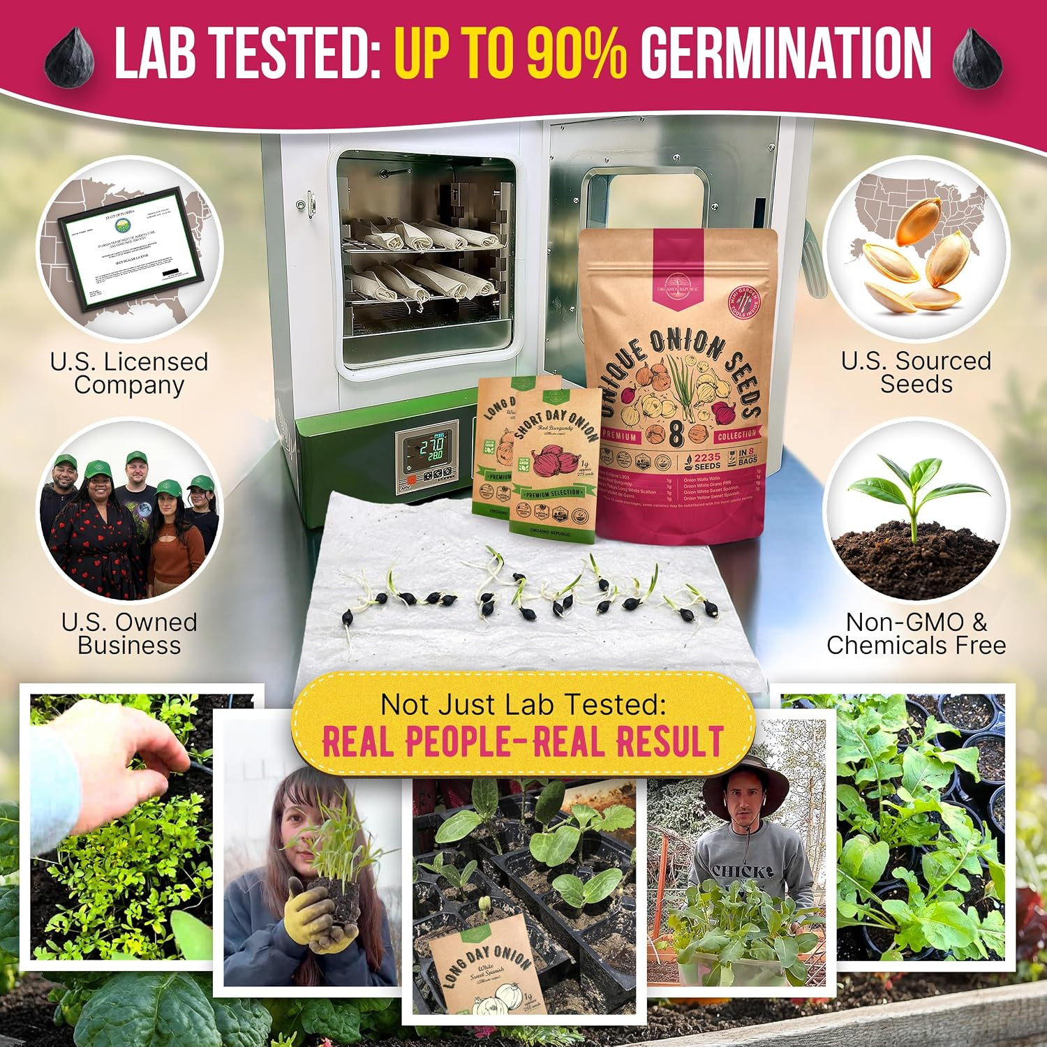 8 Onion Seeds Variety Pack Green, Red, White, Yellow