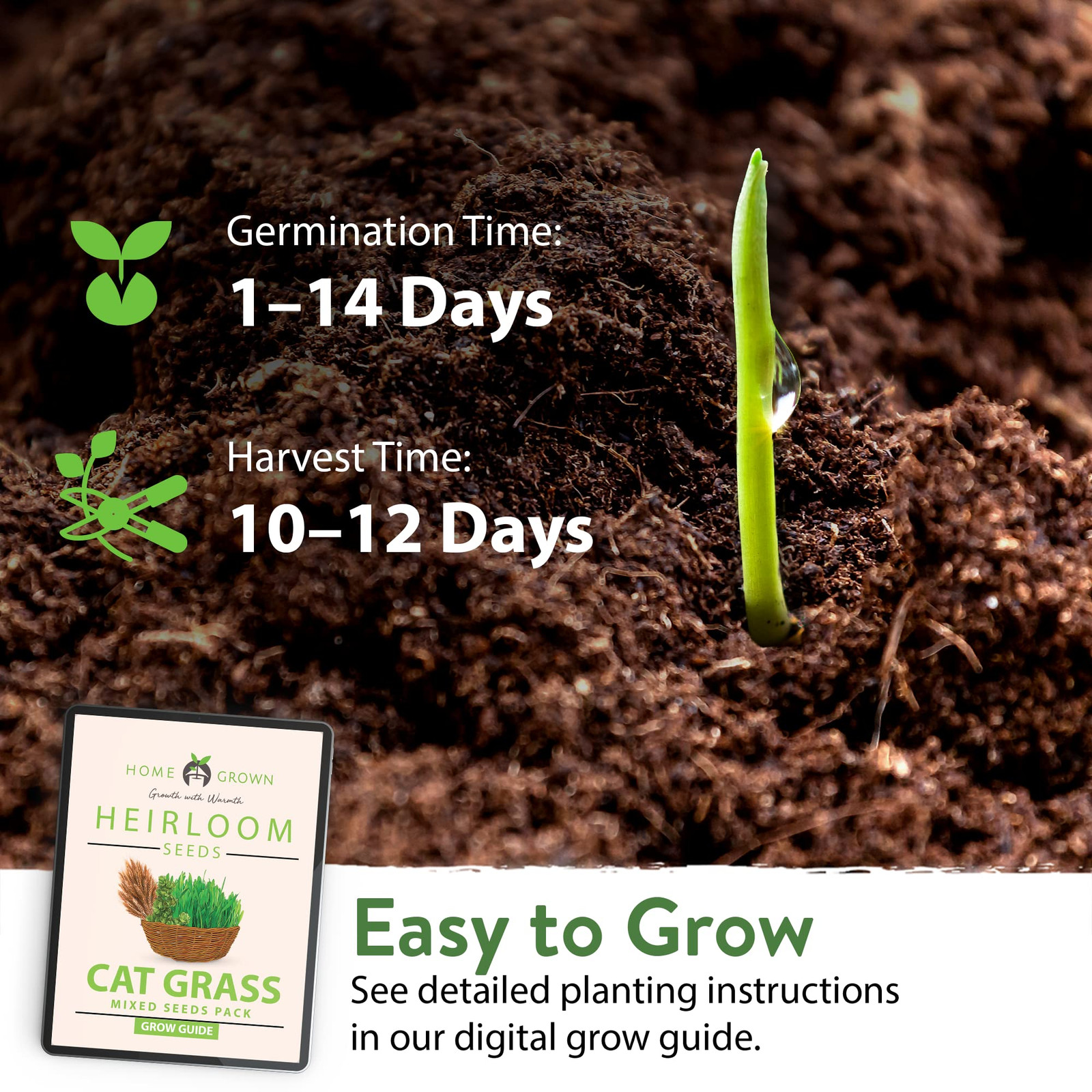 3200+ Cat Grass Seeds – Catnip Seeds, Alfalfa Seeds, Oat Seeds, and Oat & Bar…