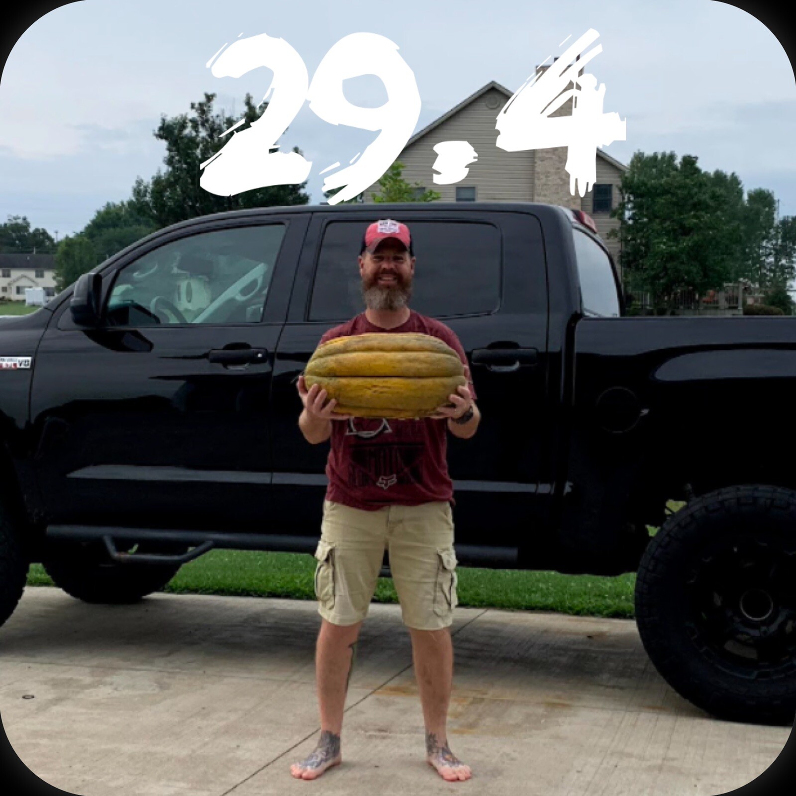 Giant Cantaloupe 29.4Lbs Free Shipping Worldwide! $25 for 5 Seeds.