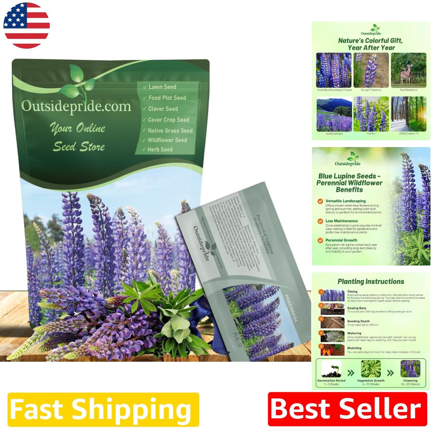 Russell Lupine Seeds 1LB – Vibrant Blue Perennial, Self-Sowing, Frost Toleran…