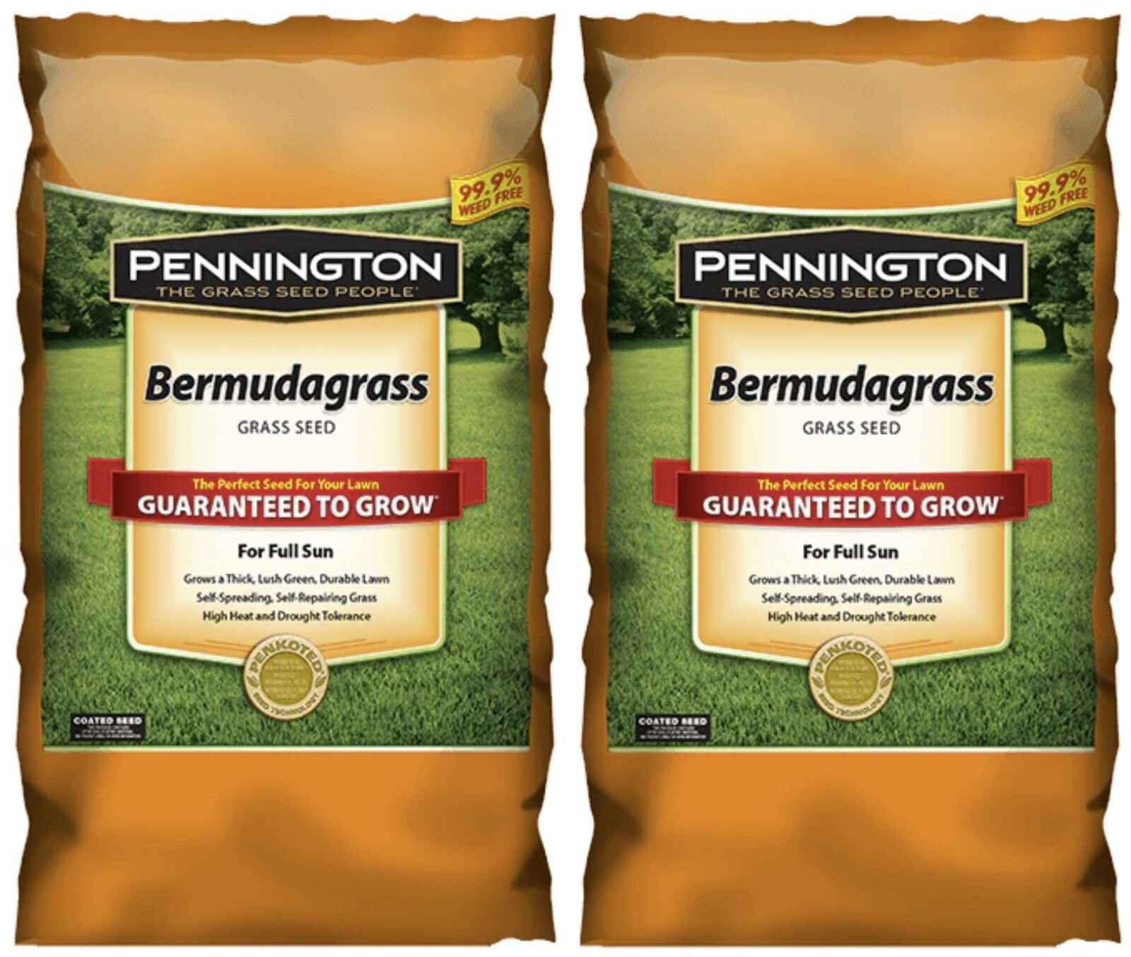 Pennington Seed 100523123 Bermuda Bermudagrass Grass Seed 15 Lb – Quantity 2