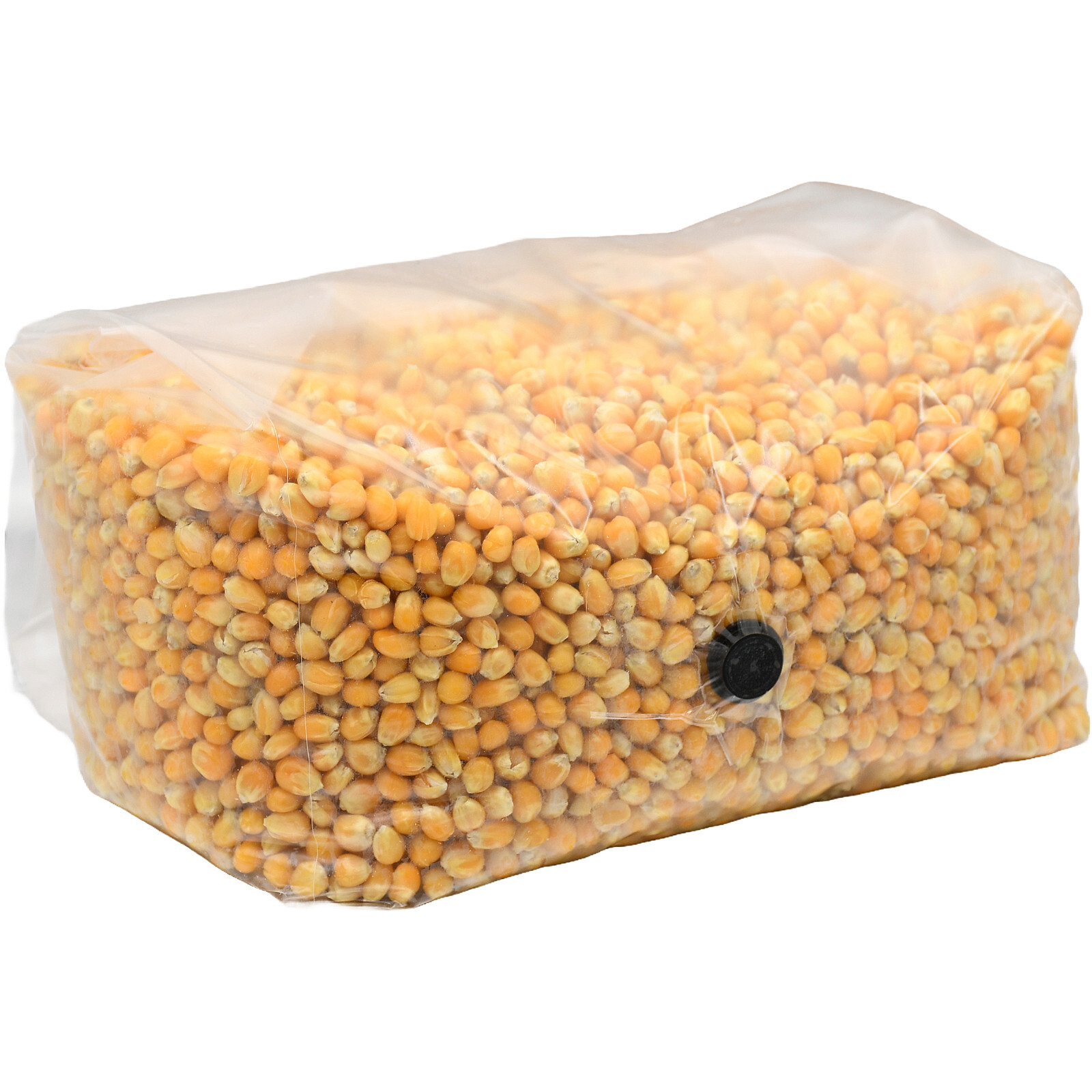 Sterilized Popcorn Grow Bag (25lbs)