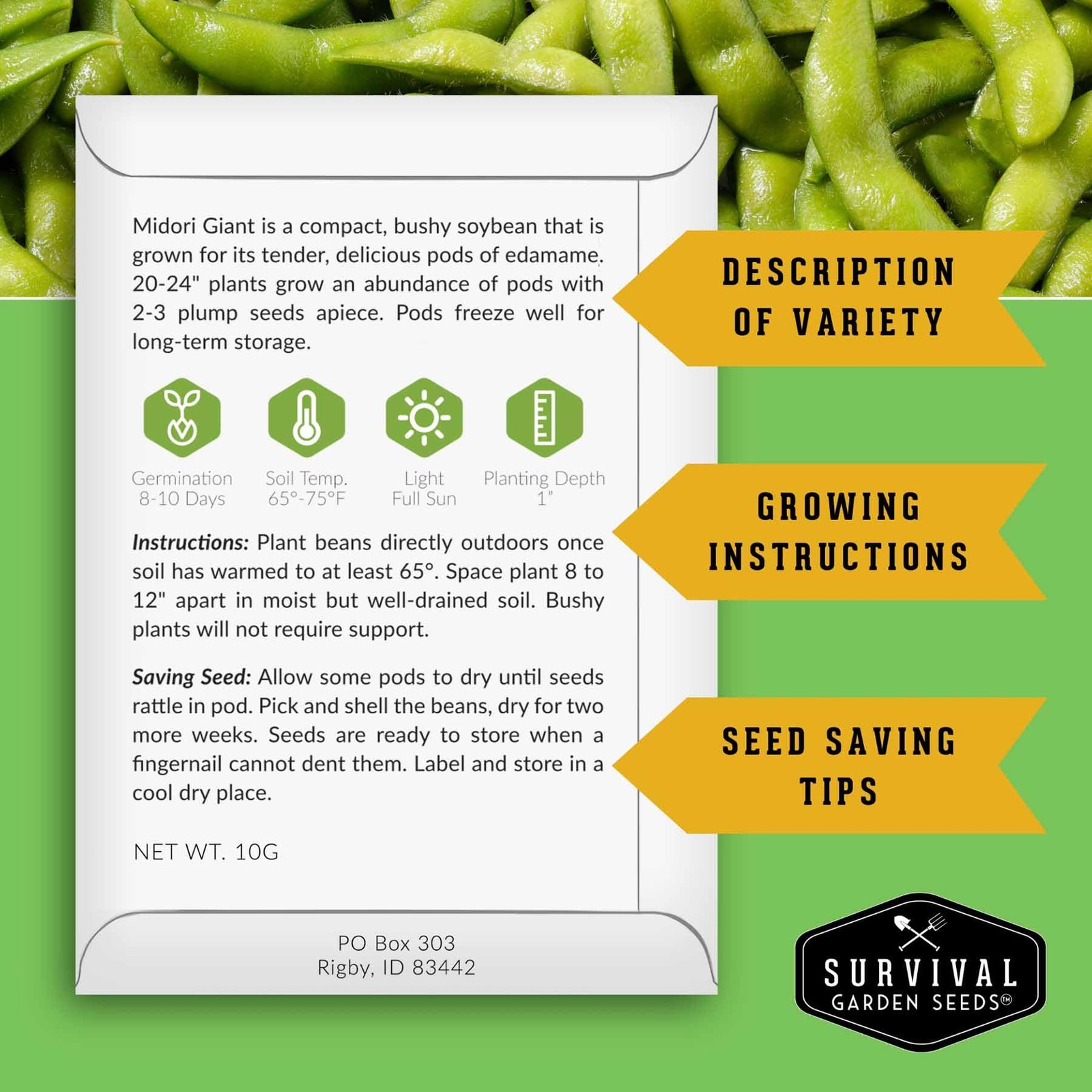 Midori Giant Soybean Seeds for Planting – Grow Protein-Rich Edamame Green