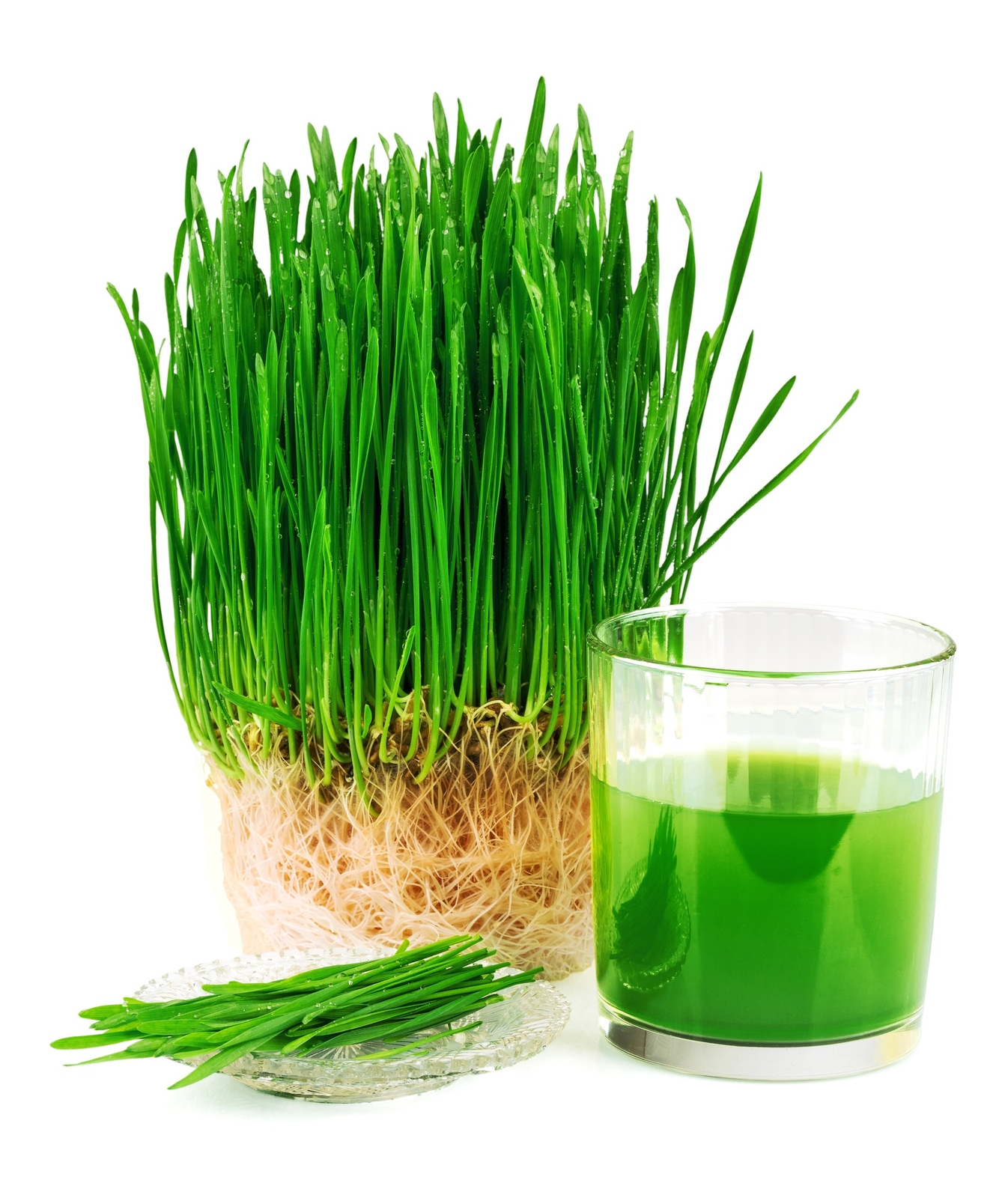 8 oz Wheatgrass