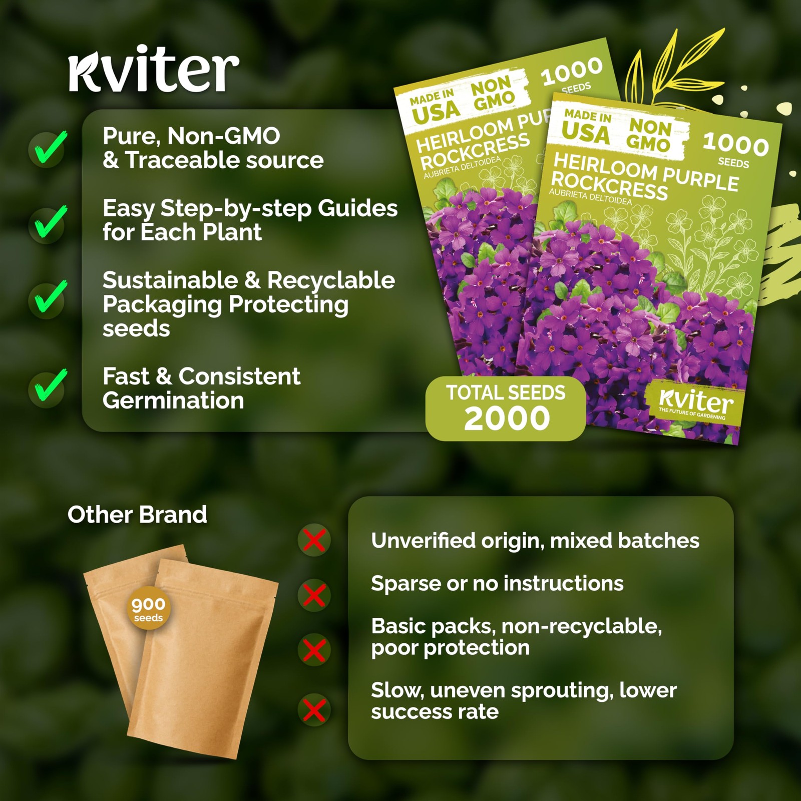 KVITER 2,000 Purple Aubrieta / Rock Cress Seeds (Aubrieta Deltoidea), 2 Pack