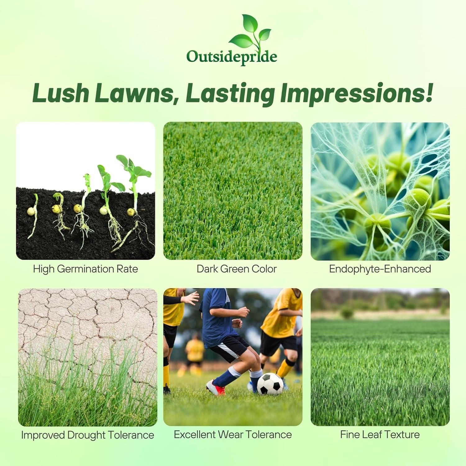50 LBS – OptiGrowth Coated Fireball & Hattrick Grass Seed – Perennial