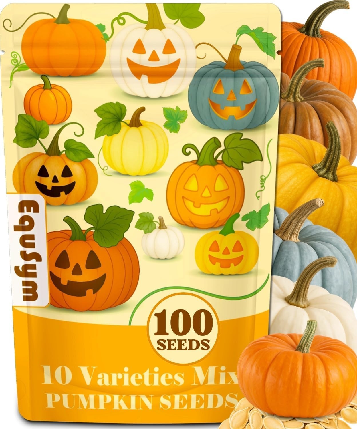 Pumpkin Seeds 10 Variety Mix 100 Heirloom Non GMO Home Grown Planting Vegetable