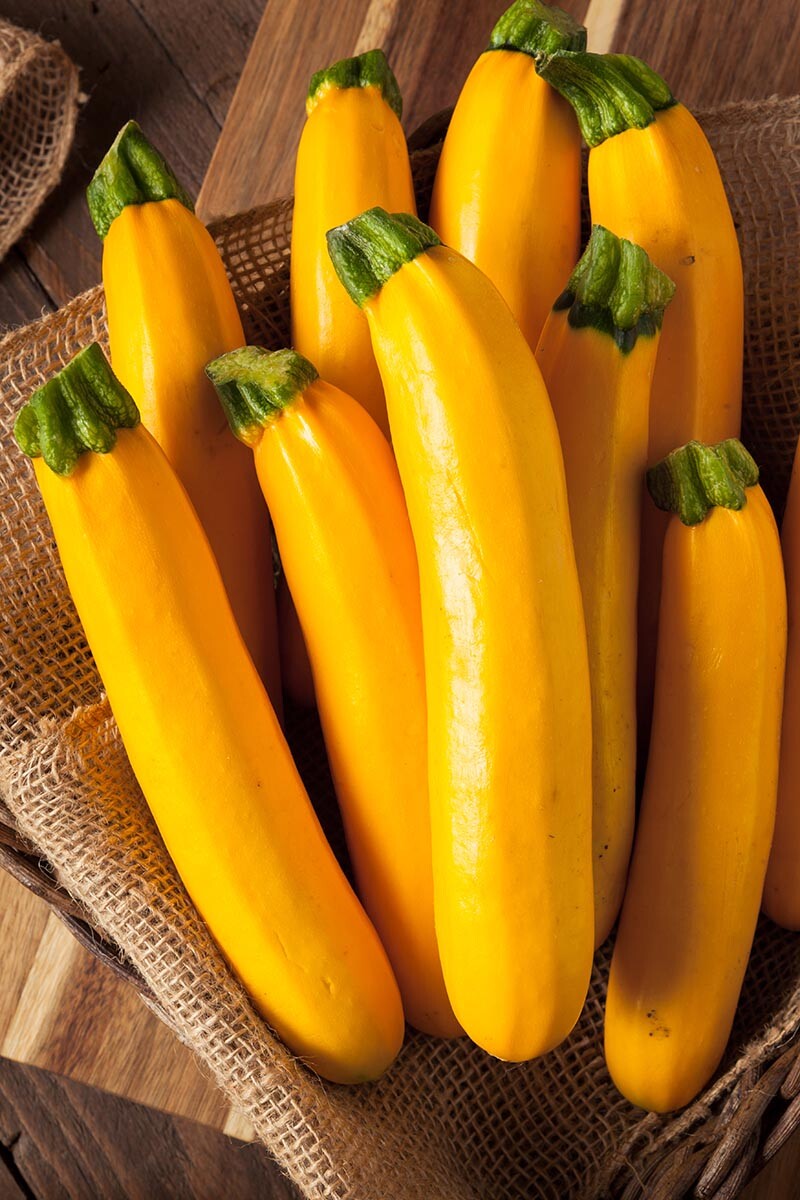 5 Species Mix Summer Squash Seeds | Heirloom Zucchini Bush Patty Pan Seed 2024