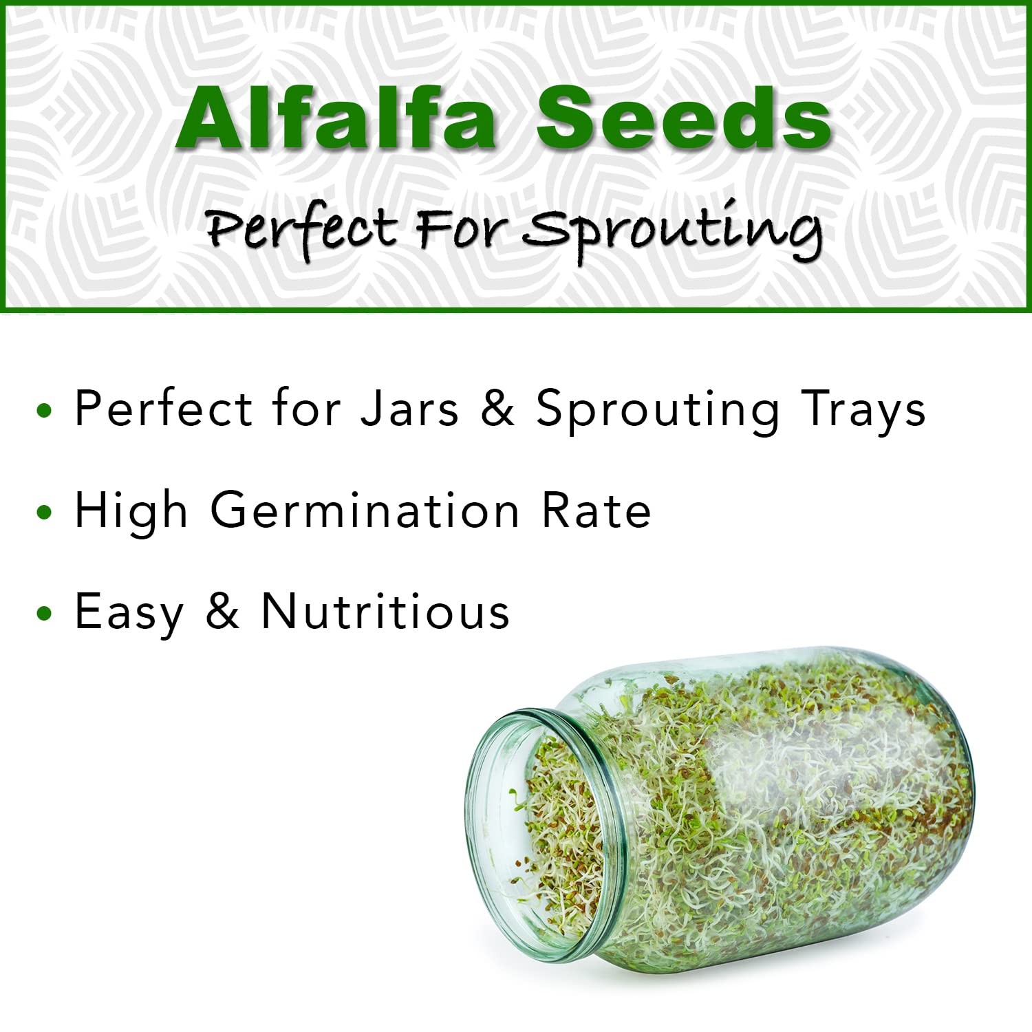 Tradeking Usda Organic Alfalfa Sprouting Seeds 1 Pound Perfect For Sprouting