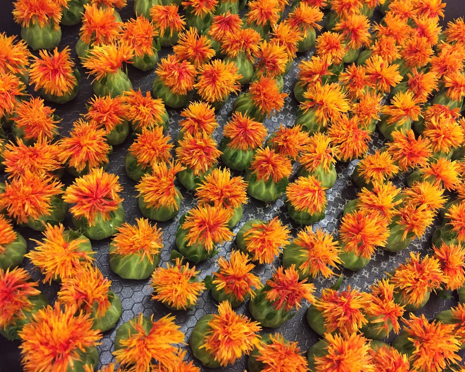 300 SAFFLOWER Saffron Carthamus Tinctorius Yellow Orange Flower Seeds *Comb S/H