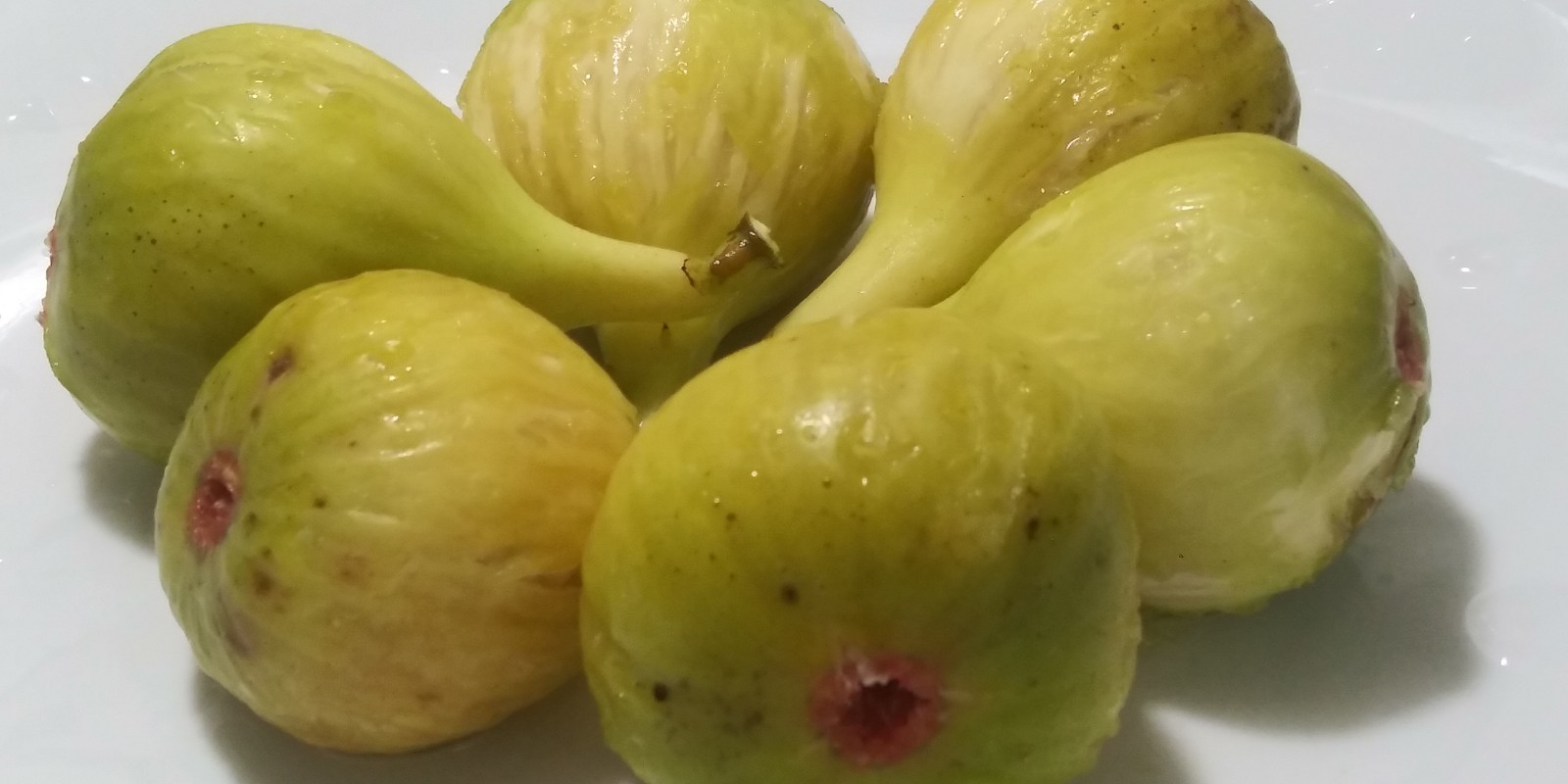 WHITE MADEIRA FIG Cuttings -Unrooted Bundle of 3