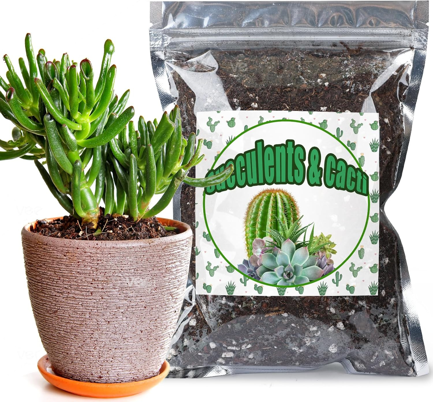 Cactus & Succulent Soil Mix 1Qt, Chunky Well-Draining Soil for Indoor Plants – S