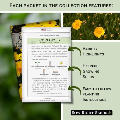 – Coreopsis Seed Collection for Planting – Dwarf Lance-Leaved & Plains