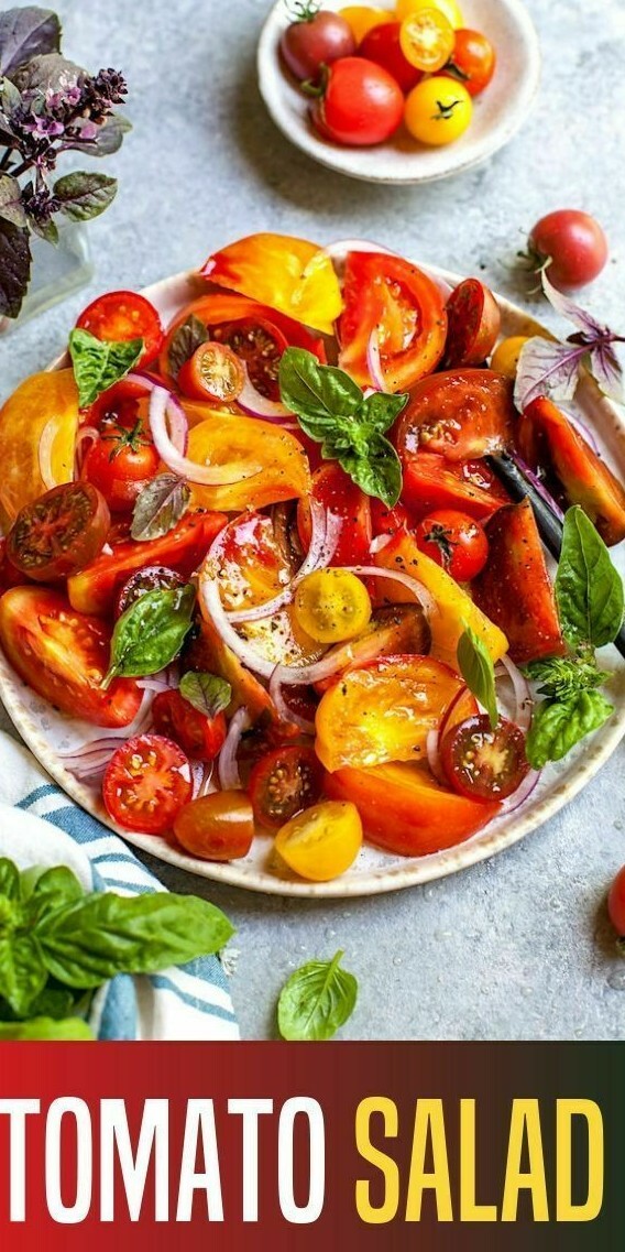 TOMATO Heirloom Mix 40 Seeds ALL TYPES NON-GMO spring summer garden RARE TASTEE!