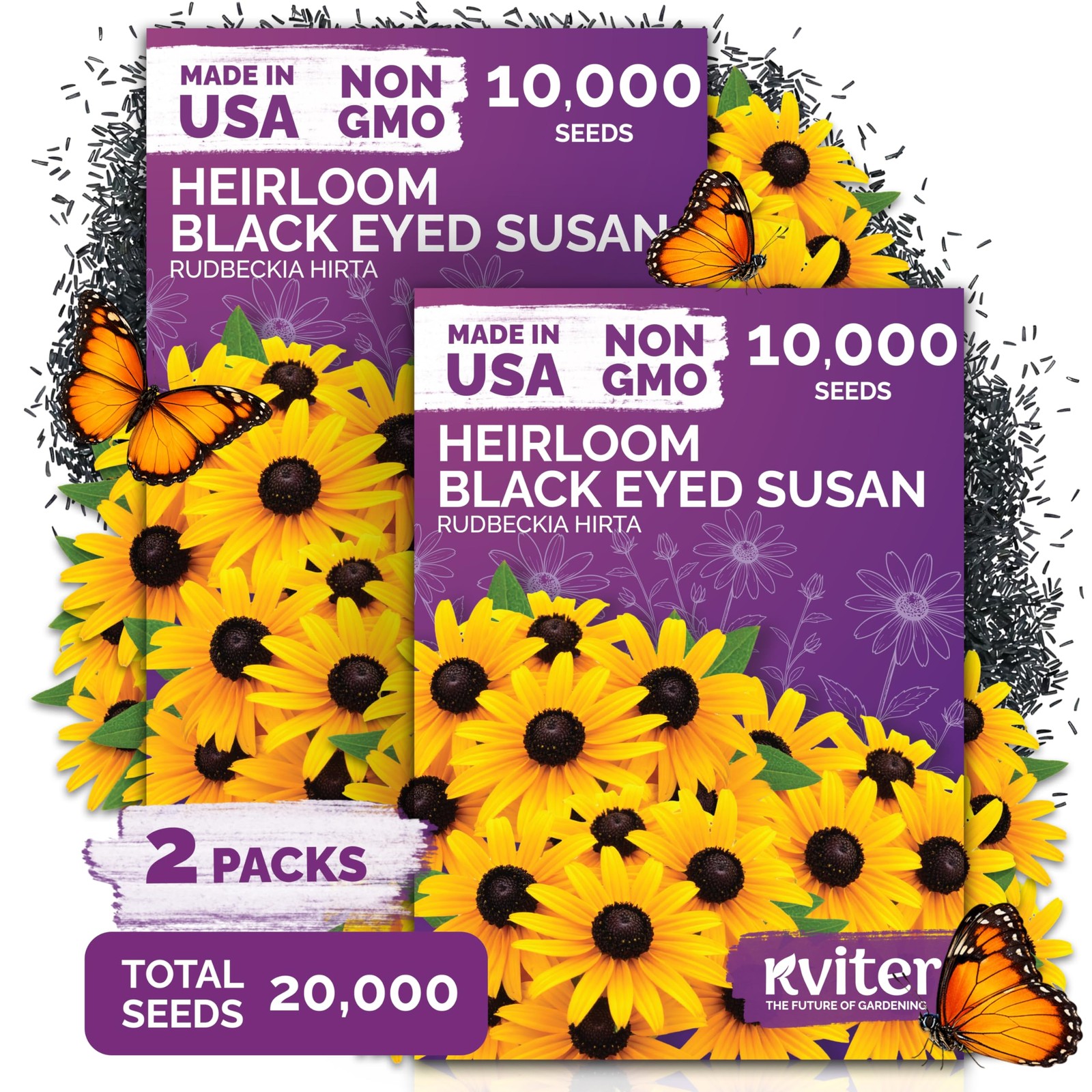 KVITER 20,000 Black Eyed Susan Seeds (Rudbeckia Hirta), 2 Pack
