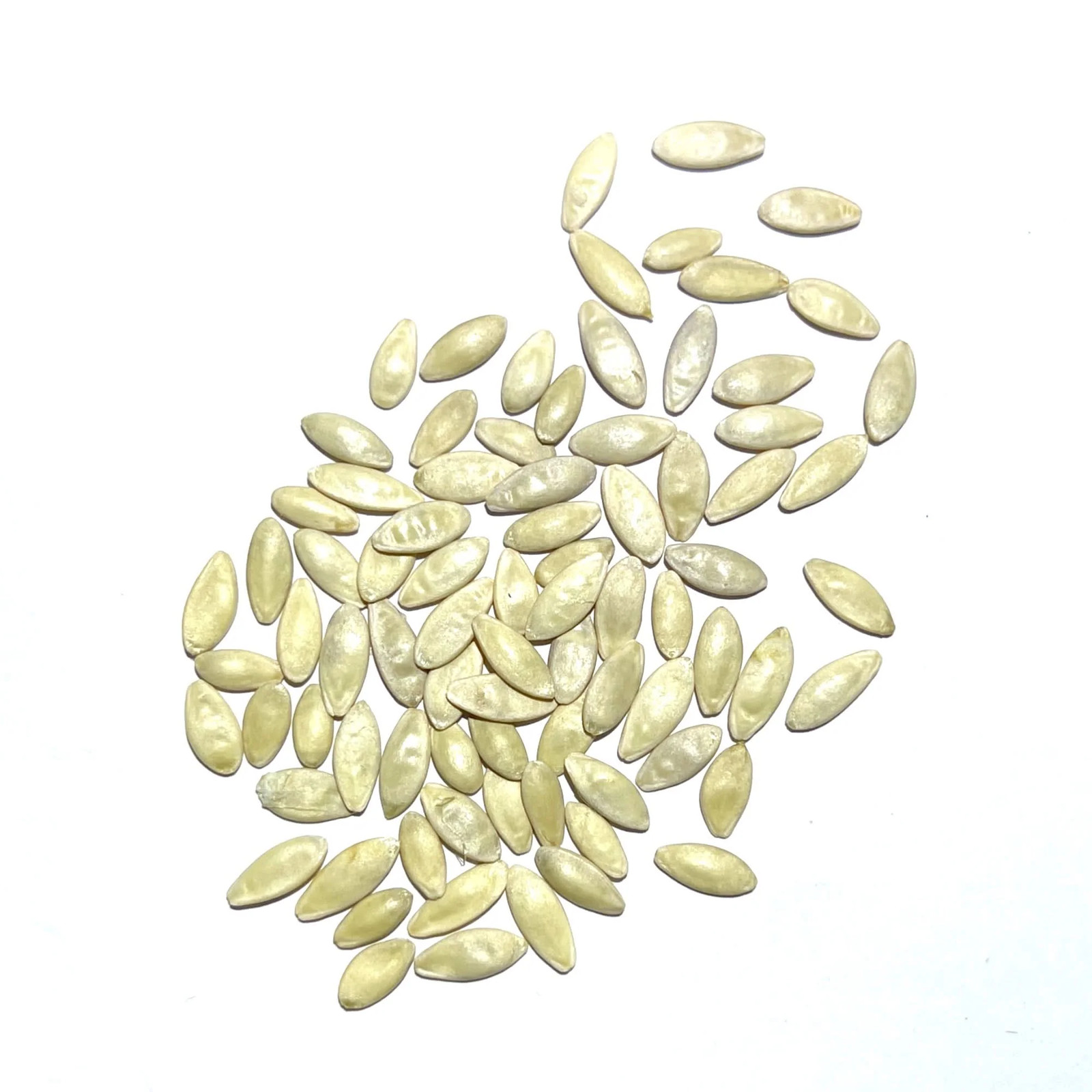 Spacemaster 80 Cucumber Seeds For Planting (Cucumis sativus)