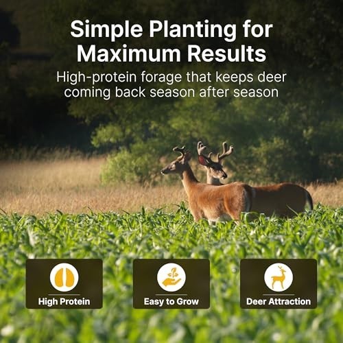 No-Till Alfalfa Food Plot Seeds for Deer – Perennial Seed Mix – 10 lbs, Plant Sp