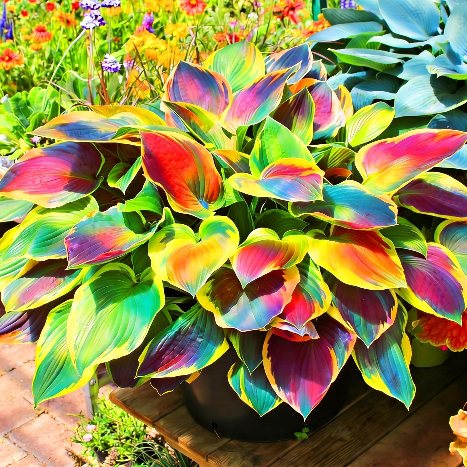 Hosta Seeds for Planting, 310+Pcs Rare Perennial Hosta Flower Seeds Plants, Non-