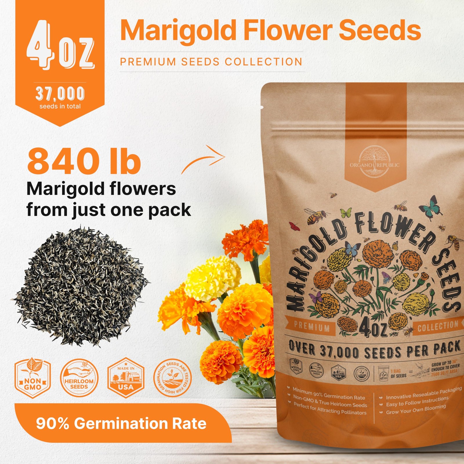 Marigold Seeds Pack 4 oz – Over 4oz, Orange, Yellow, Red, Green